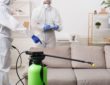 شركة تنظيف بالخرج | خدمة تنظيف منازل عالية الجودة بأفضل سعر